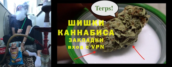 мет Алексин