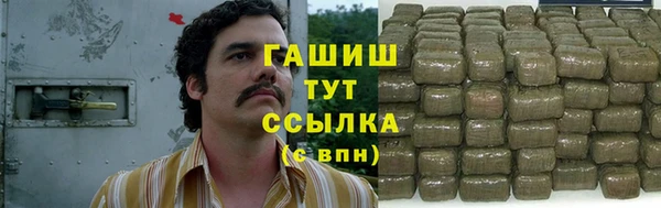 мет Алексин