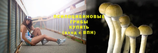 молекула духа Абинск