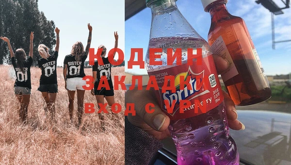 мет Алексин