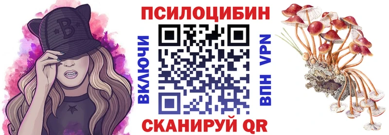 Галлюциногенные грибы прущие грибы  Питкяранта 